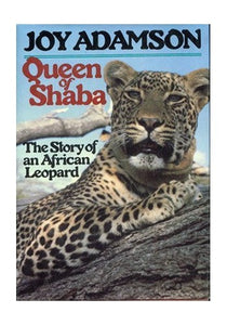 Queen of Shaba 