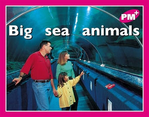 Big sea animals 