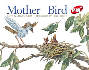 Mother Bird 