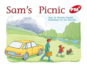 Sam's Picnic 