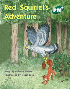 Red Squirrel's Adventure 