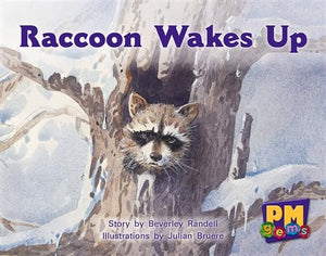 Raccoon Wakes up 