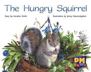 The Hungry Squirrel 