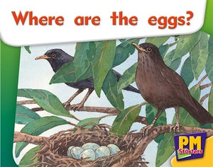 Where are the eggs? 