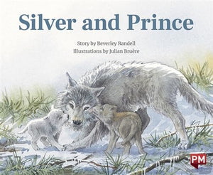 Silver and Prince 