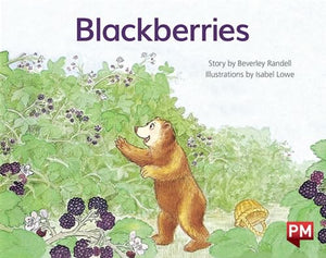 Blackberries 