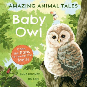 Amazing Animal Tales: Baby Owl 