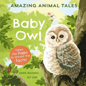 Amazing Animal Tales: Baby Owl 