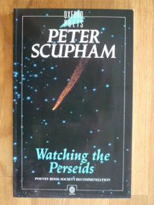 Watching the Perseids 