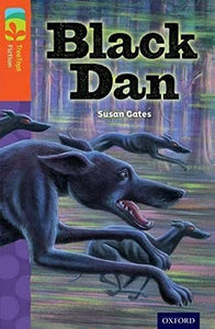 Oxford Reading Tree TreeTops Fiction: Level 13 More Pack A: Black Dan 