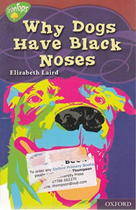 Oxford Reading Tree: Level 15: Treetops Myths and Legends: Why Dogs Have Black Noses 