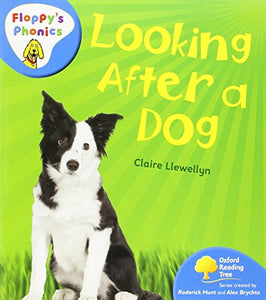 Oxford Reading Tree: Stage 3: Floppy's Phonics Non-fiction: Looking After a Dog 