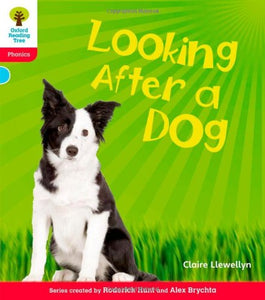 Oxford Reading Tree: Level 4: Floppy's Phonics Non-Fiction: Looking After a Dog 