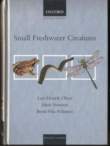 Small Freshwater Creatures 