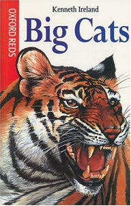 Big Cats 