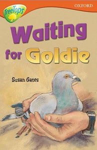 Oxford Reading Tree: Level 13: Treetops Stories: Waiting for Goldie 