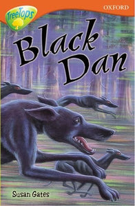 Oxford Reading Tree: Level 13: Treetops More Stories A: Black Dan 