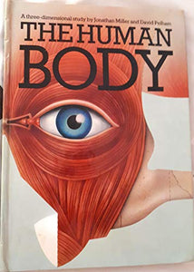 The Human Body 