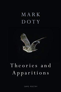 Theories and Apparitions 