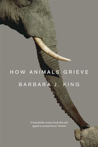 How Animals Grieve 