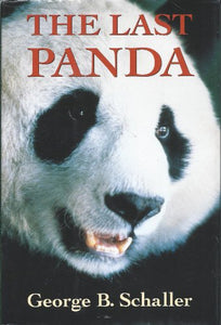 The Last Panda 