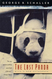 The Last Panda 