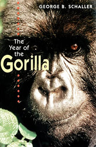 The Year of the Gorilla 