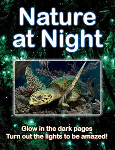 Nature at Night 