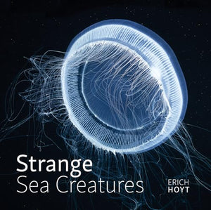 Strange Sea Creatures 