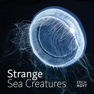 Strange Sea Creatures 