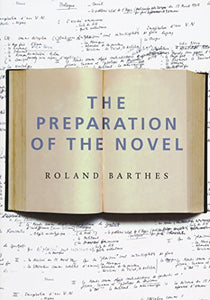 The Preparation of the Novel 