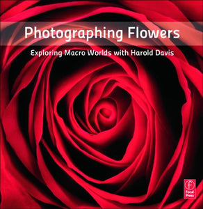 Photographing Flowers 