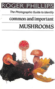 Common and Important Mushrooms 