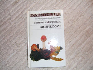 Mushrooms 