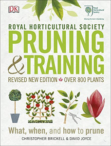 RHS Pruning and Training 