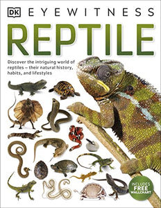 Reptile 