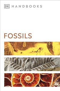 Fossils 