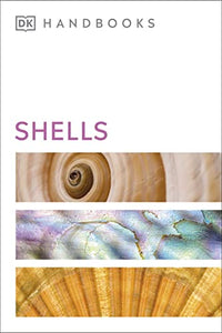 Shells 