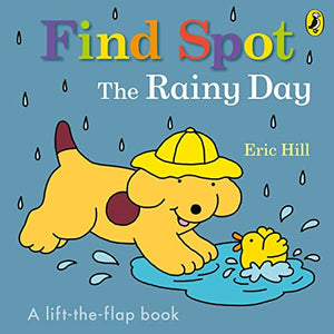 Find Spot: The Rainy Day 