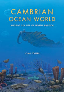 Cambrian Ocean World 