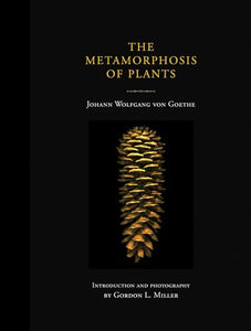 The Metamorphosis of Plants 