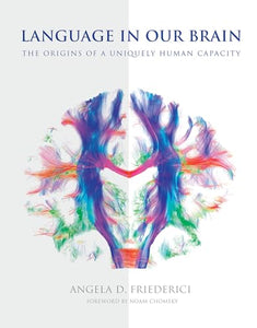 Language in Our Brain 