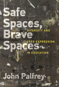 Safe Spaces, Brave Spaces 