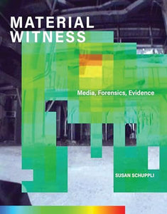 MATERIAL WITNESS 