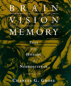 Brain, Vision, Memory 