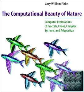 The Computational Beauty of Nature 