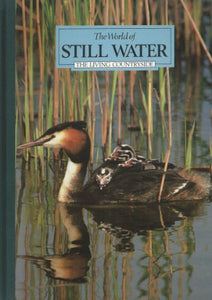 The World of Still Water 