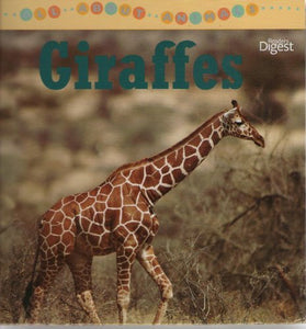 All About Animals: Giraffes 