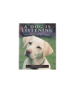 Dog is Listening 