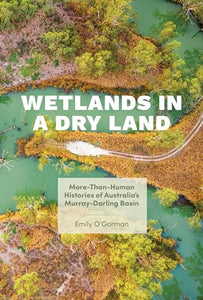 Wetlands in a Dry Land 